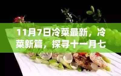 探寻十一月七日背后的故事与影响，最新冷菜新篇章揭秘