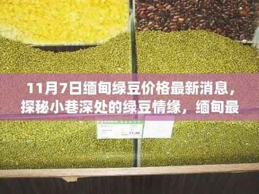 废寝忘食 第49页