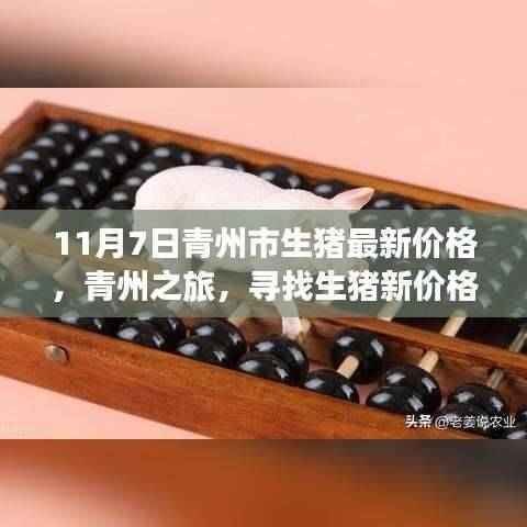 青州之旅，探寻生猪最新价格与心灵自然的和谐乐章（11月7日）