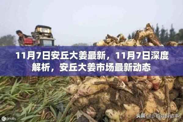 评价 第639页