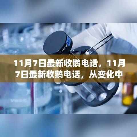 案例 第610页