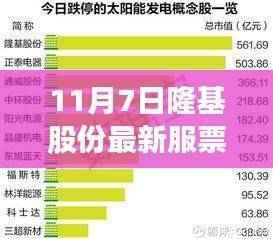 隆基股份最新服务票操作指南，从初学者到进阶用户的全面指南（11月7日更新）