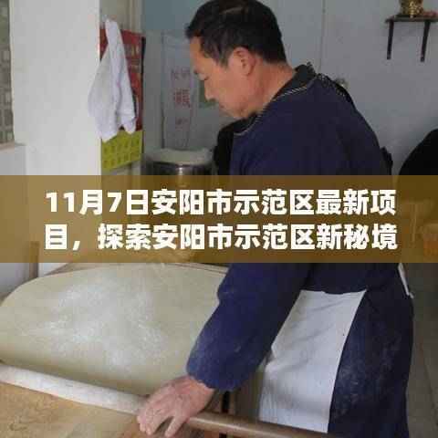 admin 第50页