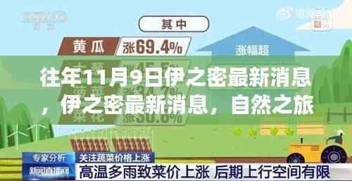 伊之密自然之旅启程，探寻美景背后宁静力量的最新消息（往年11月9日）