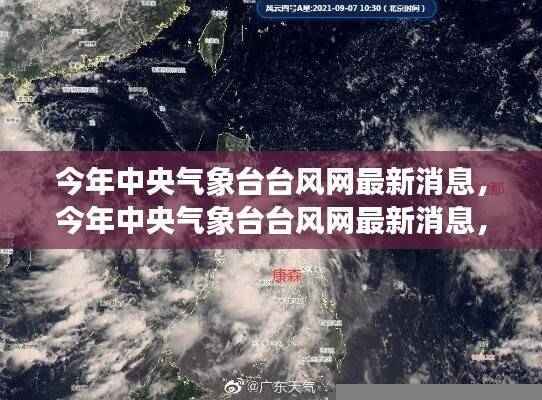 今年中央气象台台风网最新消息，热带风暴动态及应对策略发布