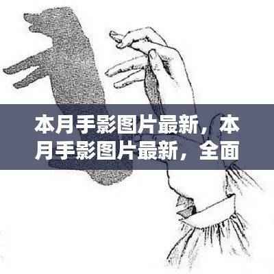 九死一生 第46页