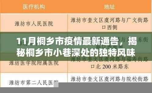 桐乡市疫情最新通告，小巷深处的独特风味，疫情下的意外美食之旅