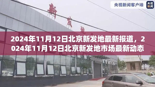 初告白 第47页