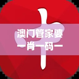 澳门管家婆一肖一码一特,安全评估策略_超清版DMO552.46
