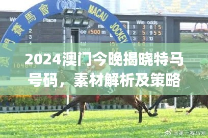 2024澳门今晚揭晓特马号码，素材解析及策略方案详解_LNT639.25