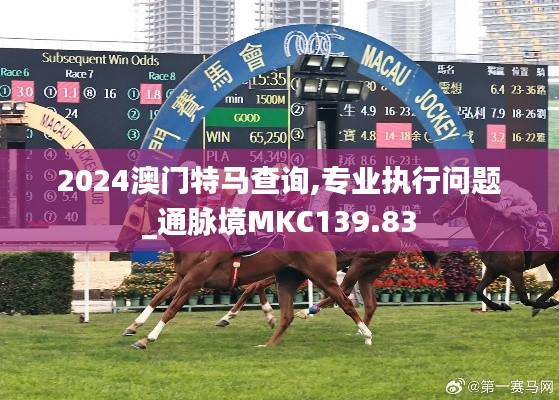 2024澳门特马查询,专业执行问题_通脉境MKC139.83