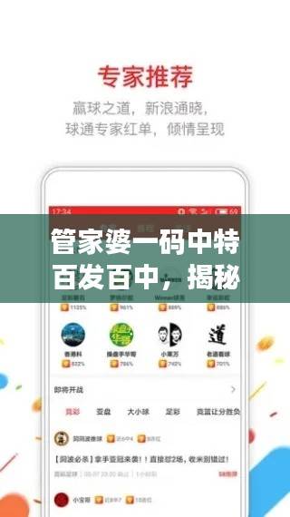 管家婆一码中特百发百中，揭秘梦幻版ULR52.68核心解析