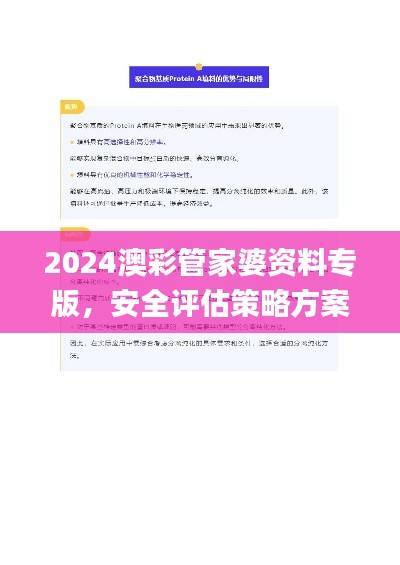 2024澳彩管家婆资料专版，安全评估策略方案_YDI345.48