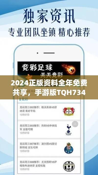 2024正版资料全年免费共享，手游版TQH734.71解析汇总