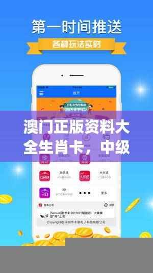 澳门正版资料大全生肖卡，中级解析方案更新版JER243.7