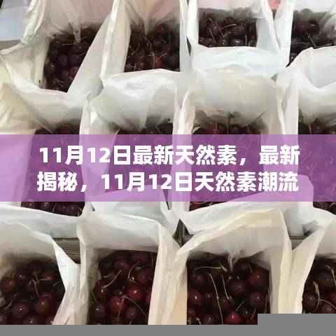 纯净自然新风尚，揭秘最新天然素潮流，带你走进纯净自然的新世界（11月12日更新）