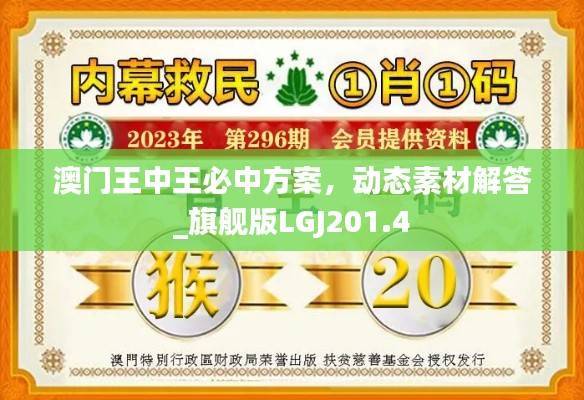 澳门王中王必中方案，动态素材解答_旗舰版LGJ201.4