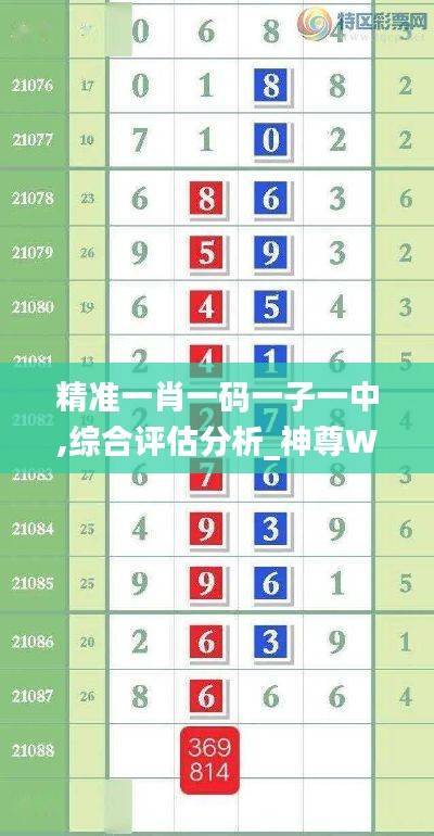 精准一肖一码一子一中,综合评估分析_神尊WZO425.65