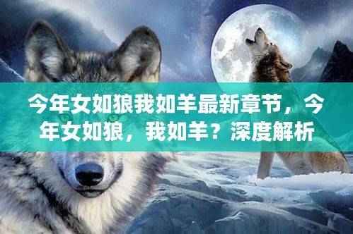 今年女如狼我如羊，最新章节下的性别关系深度解析