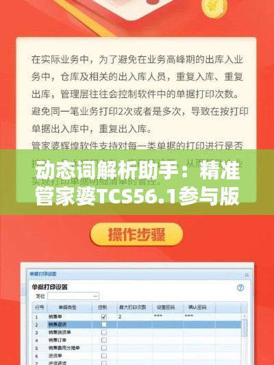 动态词解析助手：精准管家婆TCS56.1参与版体验