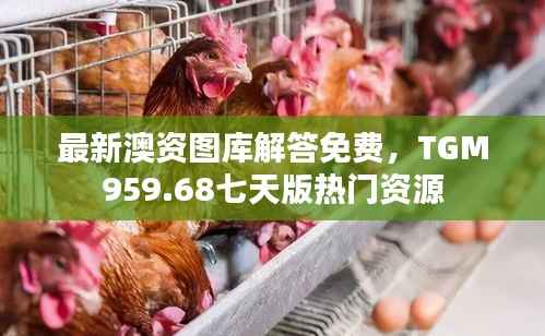 星星打烊 第37页