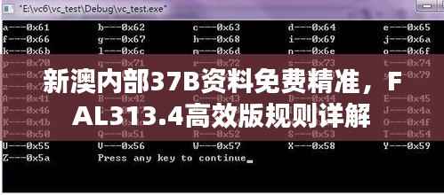 新澳内部37B资料免费精准，FAL313.4高效版规则详解