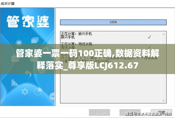 管家婆一票一码100正确,数据资料解释落实_尊享版LCJ612.67