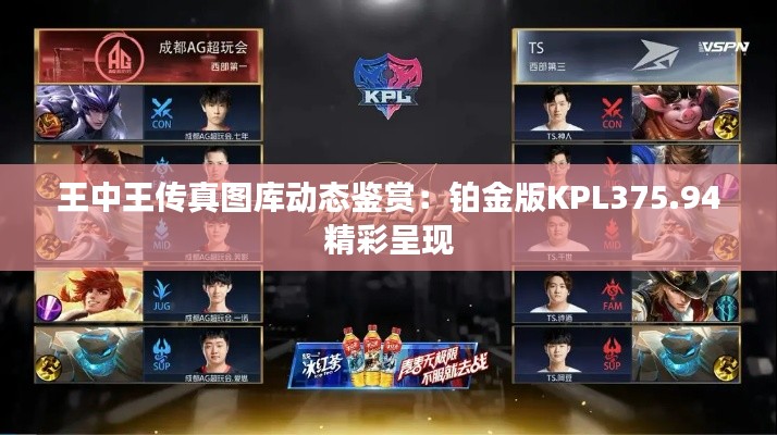 huanchunfanpu 第18页