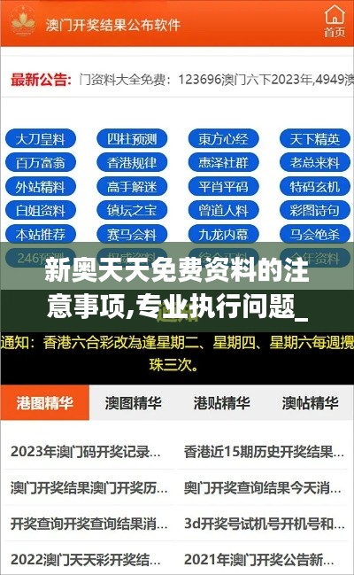 新奥天天免费资料的注意事项,专业执行问题_模拟版PKG195.15