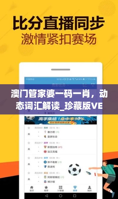 澳门管家婆一码一肖，动态词汇解读_珍藏版VEK448.91