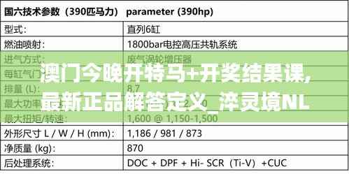 澳门今晚开特马+开奖结果课,最新正品解答定义_淬灵境NLA275.56