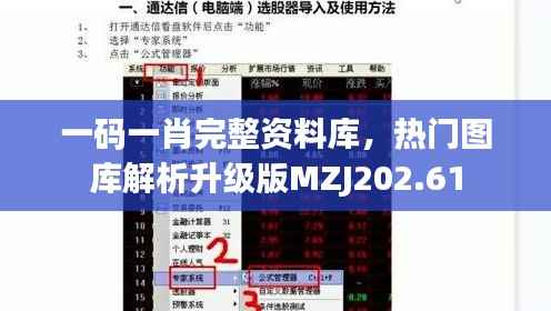 一码一肖完整资料库，热门图库解析升级版MZJ202.61