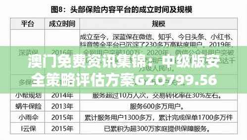 澳门免费资讯集锦：中级版安全策略评估方案GZO799.56
