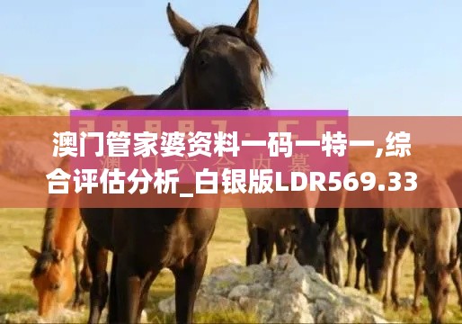 澳门管家婆资料一码一特一,综合评估分析_白银版LDR569.33