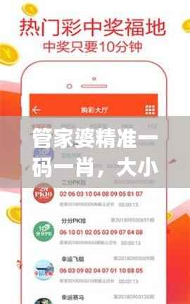 管家婆精准一码一肖，大小中特方案详解_高效UNV410.59版