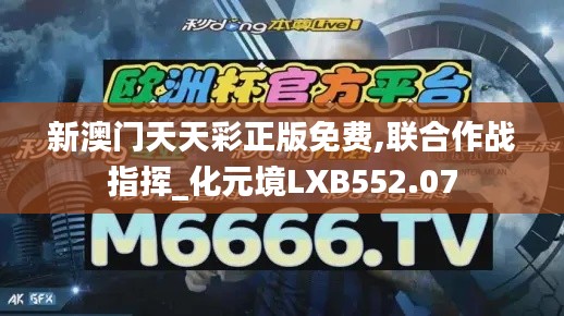 新澳门天天彩正版免费,联合作战指挥_化元境LXB552.07