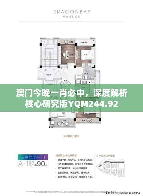 澳门今晚一肖必中，深度解析核心研究版YQM244.92