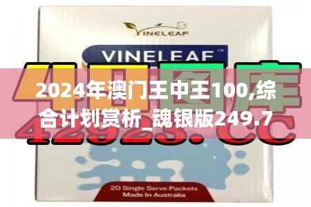 2024年澳门王中王100,综合计划赏析_魂银版249.73