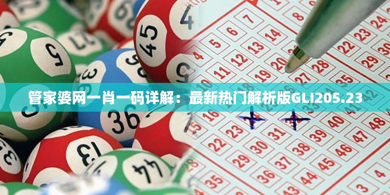 管家婆网一肖一码详解:最新热门解析版GLI205.23