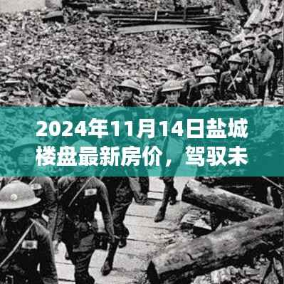 盐城最新楼盘房价动态，驾驭购房之旅与自我成长的启示（2024年11月14日）
