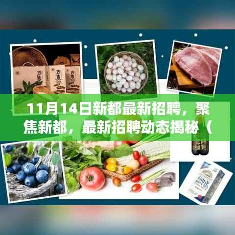 聚焦新都，最新招聘动态揭秘（11月14日版）