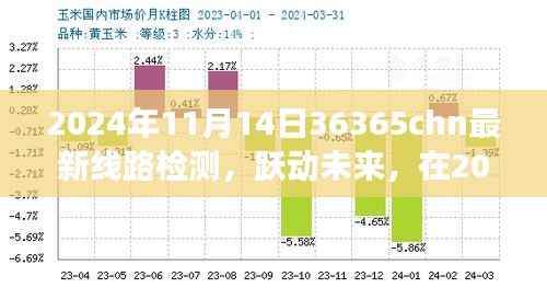 跃动未来，2024年11月14日36365chn最新线路检测与变化共舞，开启无限可能