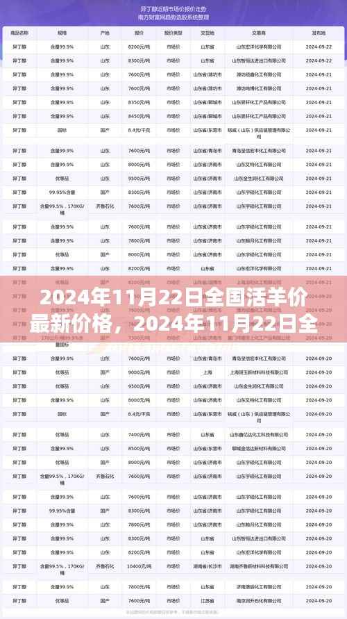 最新消息，2024年11月22日全国活羊价格走势分析与预测