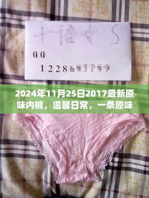 风驰电掣 第25页