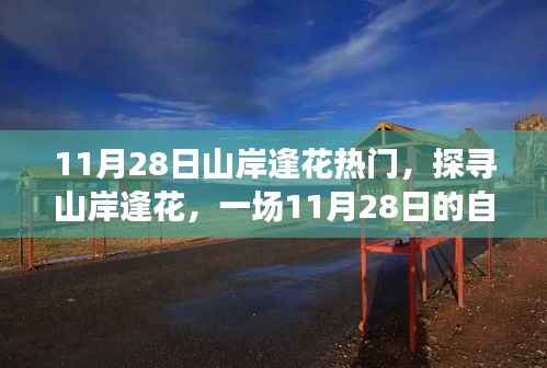 九死一生 第21页