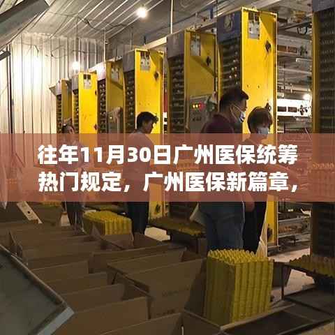 广州医保新篇章，历年11月30日医保统筹规定带来的变革与自信之光