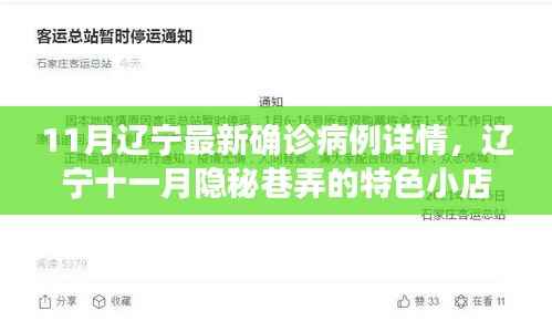 辽宁十一月隐秘巷弄的独特风味与故事，疫情下的小店风采及最新确诊病例详情