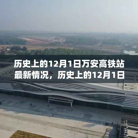 走马观花 第19页