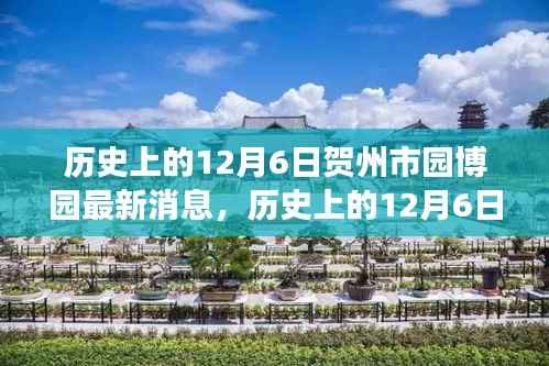 历史上的12月6日贺州市园博园之旅，探寻自然美景，重塑心灵宁静的最新消息