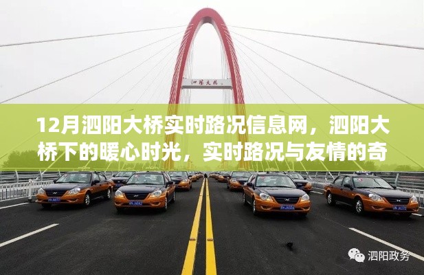 zhangkoujieshe 第13页